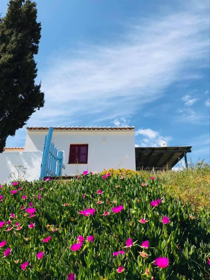 Casa Pedralva Villa Vila do Bispo Dış mekan fotoğraf